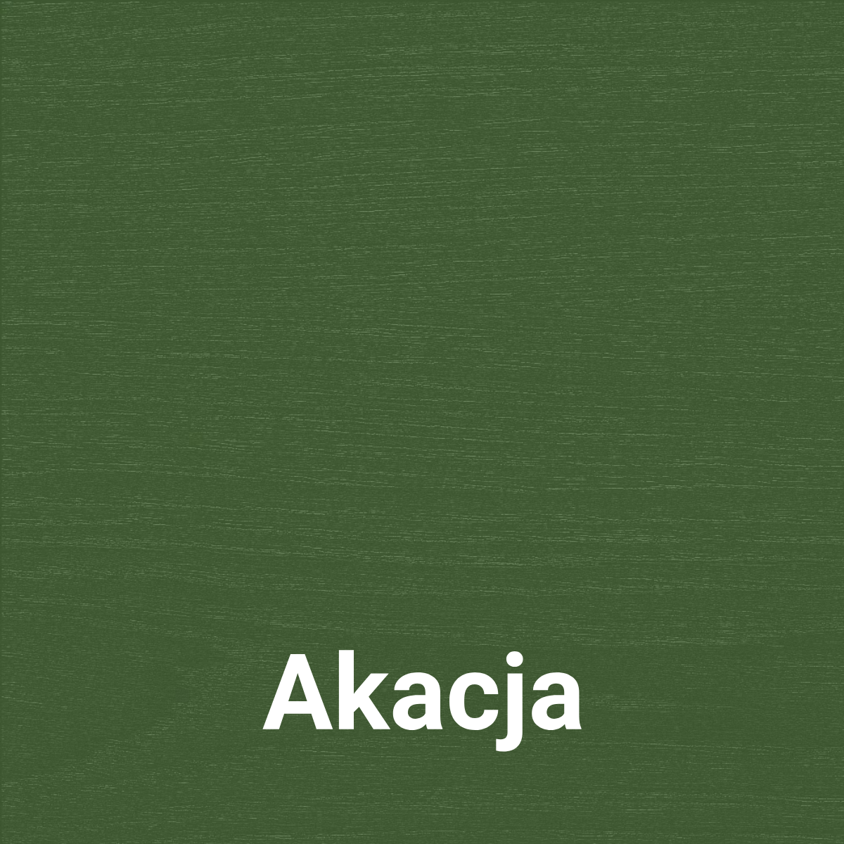 Akacja